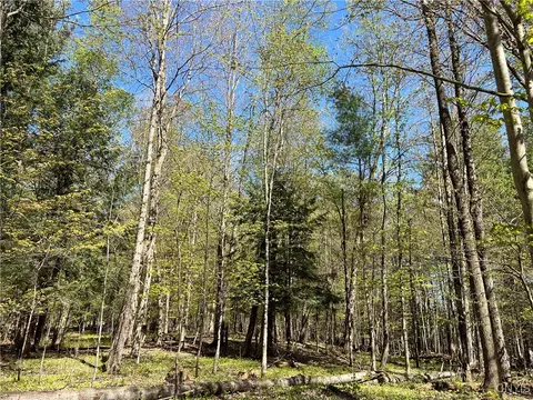 Hemlock Drive, Watson, NY 13367 photo 23