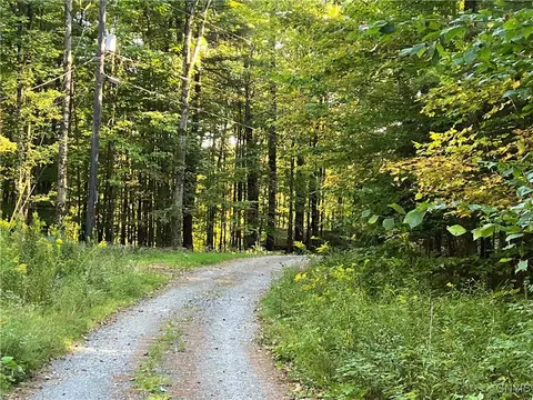 Hemlock Drive, Watson, NY 13367 photo 2