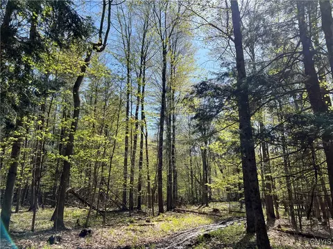 Hemlock Drive, Watson, NY 13367 photo 30