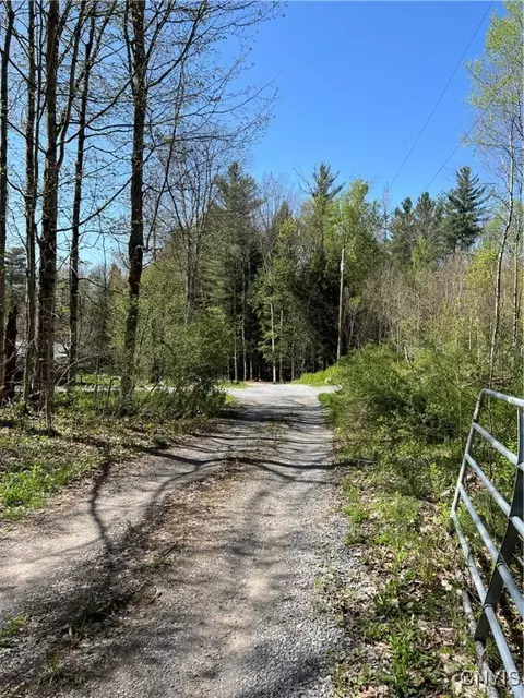 Hemlock Drive, Watson, NY 13367 photo 33
