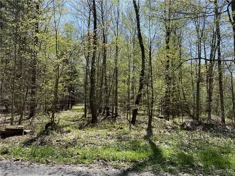Hemlock Drive, Watson, NY 13367 photo 3