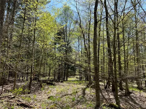 Hemlock Drive, Watson, NY 13367 photo 12