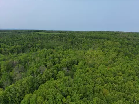 0000 Lynch Rd, Norway, NY 13416