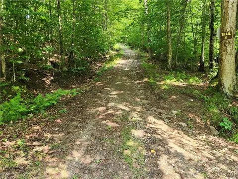 Mohawk Drive, Webb, NY 13420 photo 10