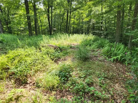 Mohawk Drive, Webb, NY 13420 photo 6