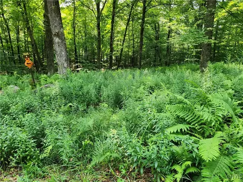 Mohawk Drive, Webb, NY 13420 photo 5
