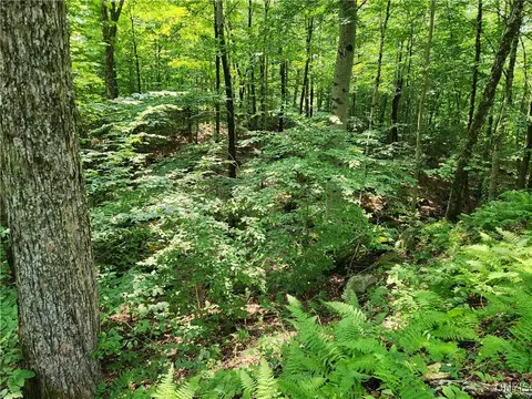 Mohawk Drive, Webb, NY 13420 photo 8