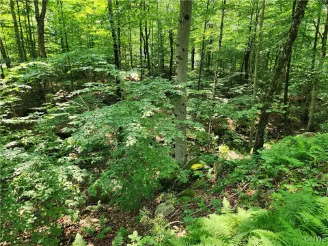 Mohawk Drive, Webb, NY 13420 photo 9