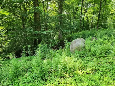 Mohawk Drive, Webb, NY 13420 photo 4