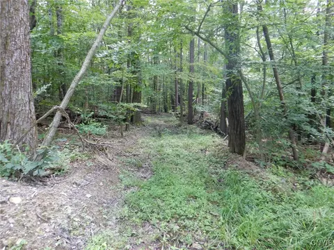 Chaffee Creek Road, Newfield, NY 14867