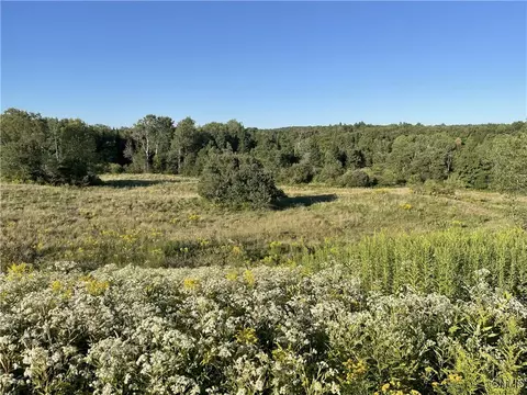 Weiler Road, Lewis, NY 13325