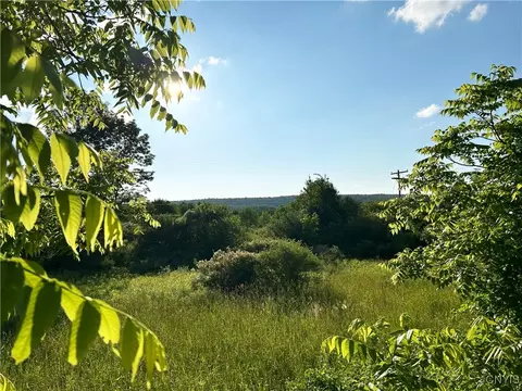 0 Syrian Hill Rd, Solon, NY 13101