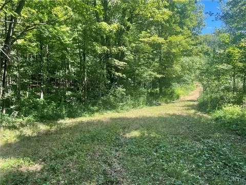 0 Meirs Rd, Williamstown, NY 13493