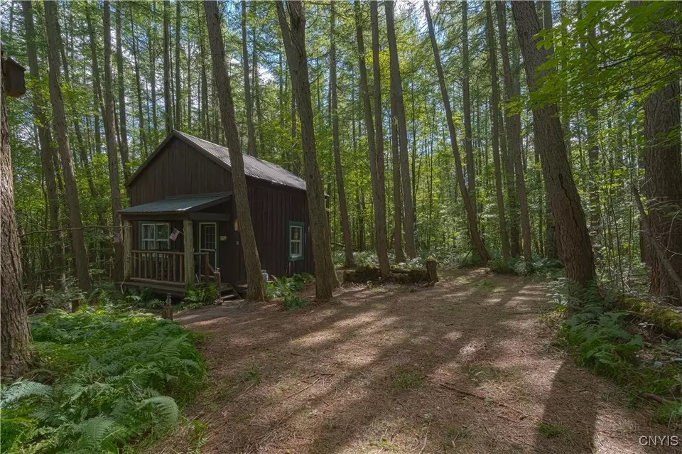 3071 Seelman Truck Trail Rd, West Turin, NY 13325 photo 1