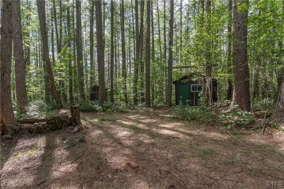  3071 Seelman Truck Trail Rd, West Turin, NY 13325 photo 4
