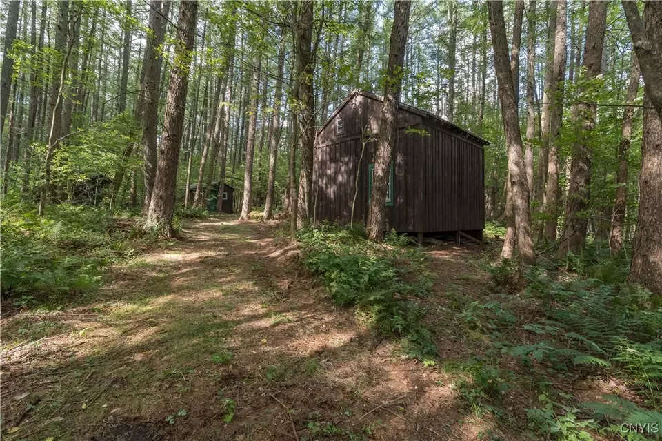  3071 Seelman Truck Trail Rd, West Turin, NY 13325 photo 8