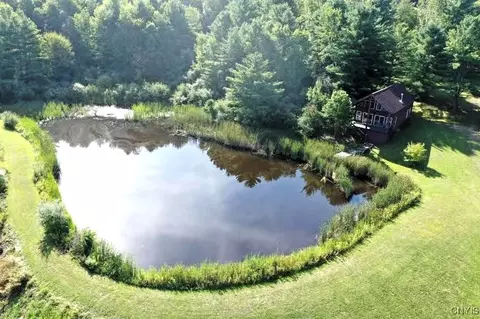 9862 Blencowe Rd, Erwin, NY 14870