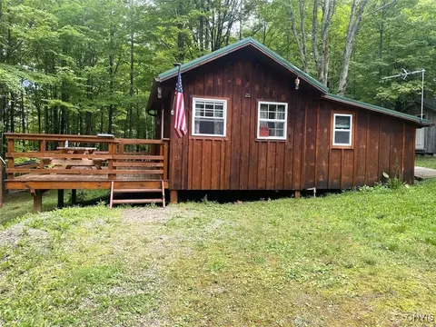 9516 Gas Springs Rd, Burns, NY 14822