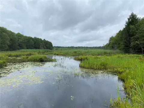 Fisherman S Bridge Road, Amboy, NY 13493