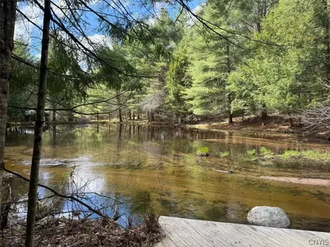 View/Area - 6443 Lingerlong Pond Rd, Watson, NY 13343 photo 4 of 4