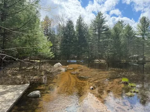 View/Area - 6443 Lingerlong Pond Rd, Watson, NY 13343 photo 3 of 4