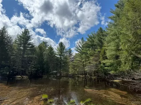 View/Area - 6443 Lingerlong Pond Rd, Watson, NY 13343 photo 1 of 4