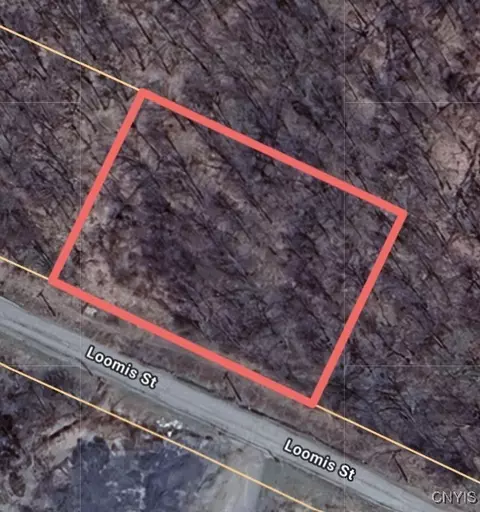 Loomis Street, Little Falls City, NY 13365