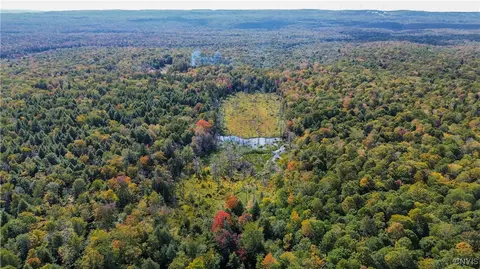 999 Jerseyfield Rd, Salisbury, NY 13365