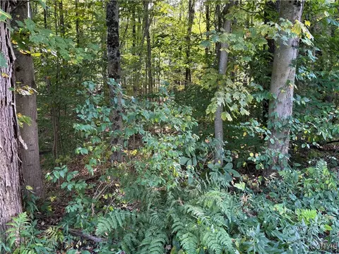 7639 Oakview Ter, Floyd, NY 13440