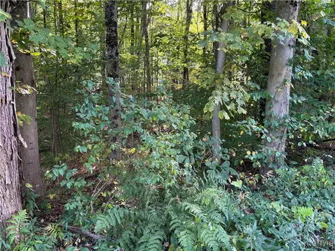 7639 Oakview Ter, Floyd, NY 13440