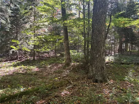Moehs Road, Webb, NY 13420 photo 4