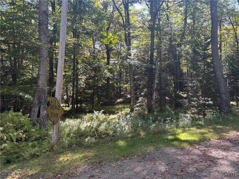 Moehs Road, Webb, NY 13420 photo 2