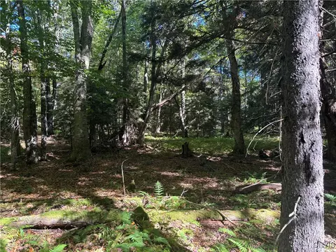 Moehs Road, Webb, NY 13420 photo 5