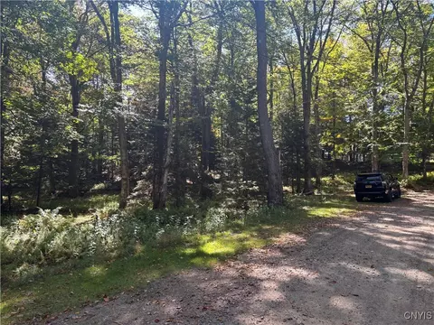 Moehs Road, Webb, NY 13420 photo 3