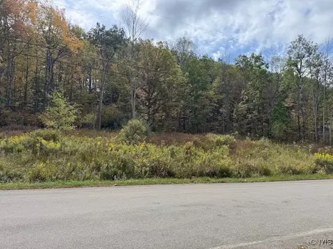 Sherlock Hollow Road, Hinsdale, NY 14743