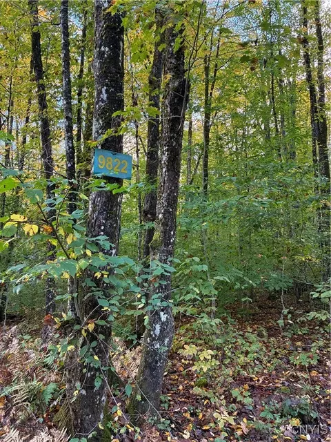 9822 Culver Brook Rd, Boonville, NY 13309
