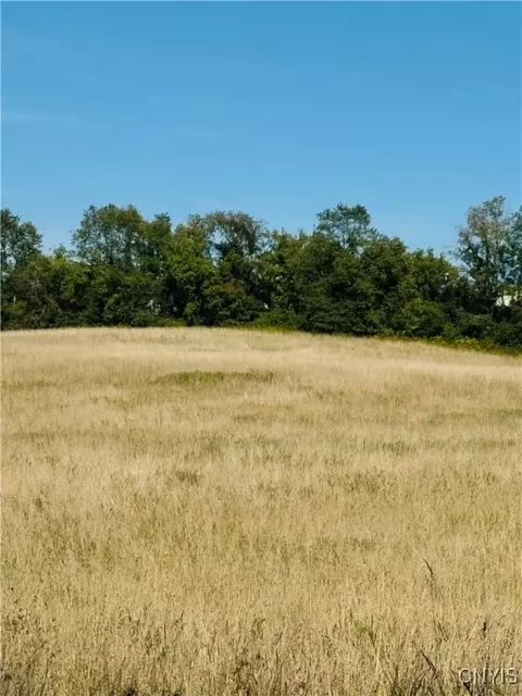 lot4 C Carpenter Ave, Groton, NY 13073