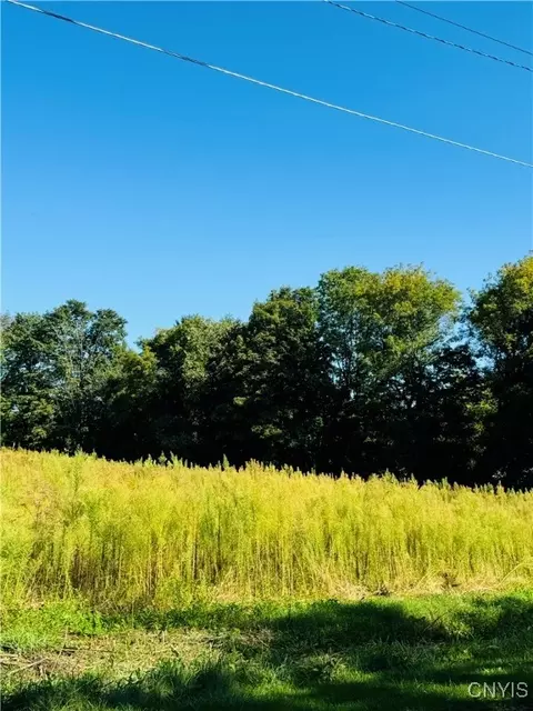 lot4 D Carpenter Ave, Groton, NY 13073