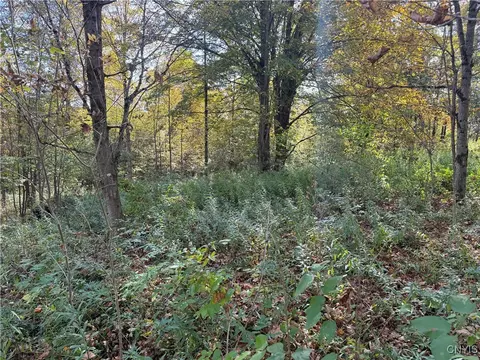 Cold Brook Road, Scott, NY 13077 photo 6
