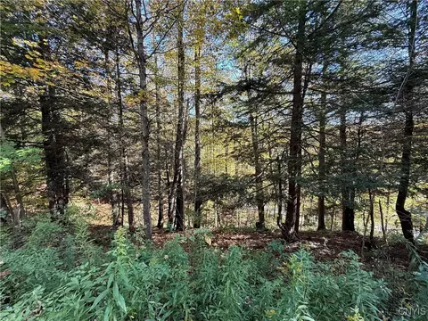 Cold Brook Road, Scott, NY 13077 photo 5