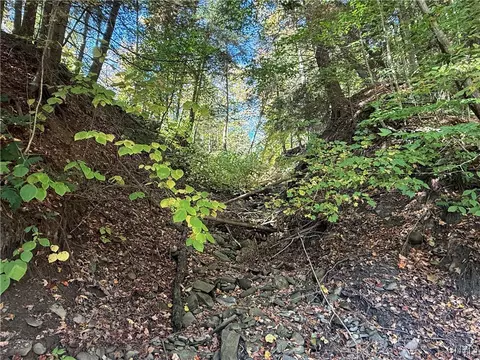 Cold Brook Road, Scott, NY 13077 photo 12