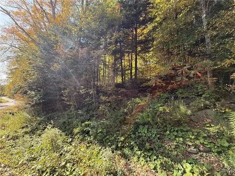 Cold Brook Road, Scott, NY 13077 photo 11
