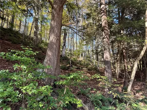 Cold Brook Road, Scott, NY 13077 photo 8