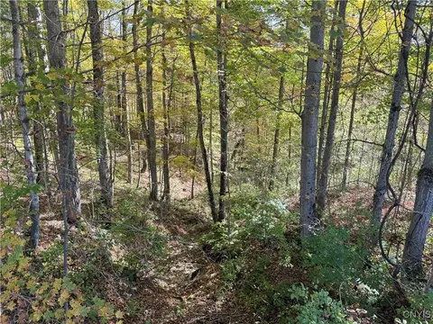 Cold Brook Road, Scott, NY 13077 photo 7
