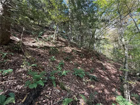 Cold Brook Road, Scott, NY 13077 photo 14