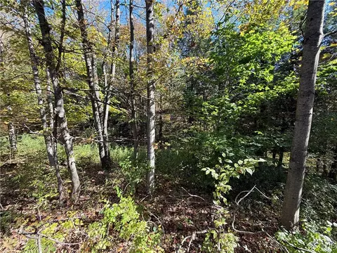 Cold Brook Road, Scott, NY 13077 photo 4