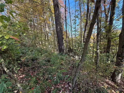 Cold Brook Road, Scott, NY 13077 photo 3