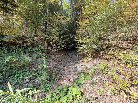 Cold Brook Road, Scott, NY 13077 photo 10