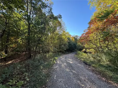 Steelhead Lane, Williamstown, NY 13493
