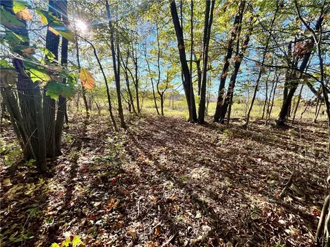 Oak Point Road, Morristown, NY 13614